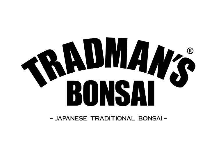 TRADMAN’S BONSAI​