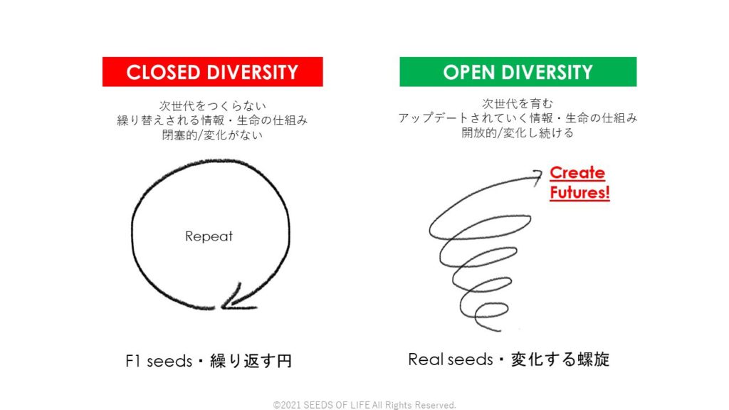 繰り返す円（F1 seeds）と変化する螺旋（Real sees)の図